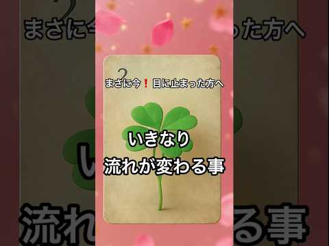 【まさに今❗️目に止まった方へ】 占い タロットルノルマン美音タロット サムネイル