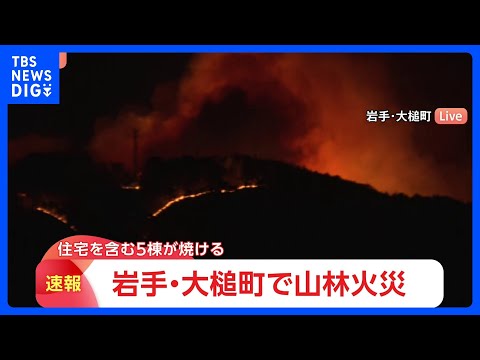 岩手・大槌町で山林火災 住宅含む5棟に延焼　県が災害特別警戒本部を設置｜TBS NEWS DIG サムネイル