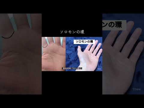 最高と言われる素晴らしい手相 手相鑑定 手相 占い 手相占い サムネイル