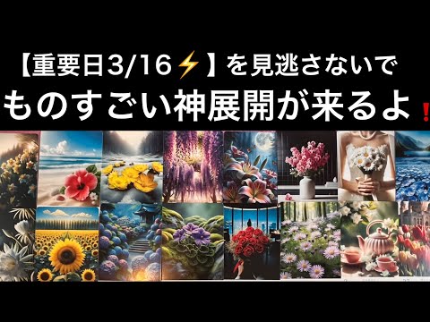 神展開⭐️【今すぐ受け取って❗️】春分🌸新月🌚一粒万倍日🎁ものすごい今週✨凄すぎる１週間⭐️ガッツリ読み解きます サムネイル