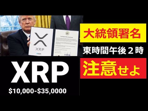 【中堅投資家】XRP10,000㌦～35,000㌦予測とトランプ大統領署名画像 サムネイル