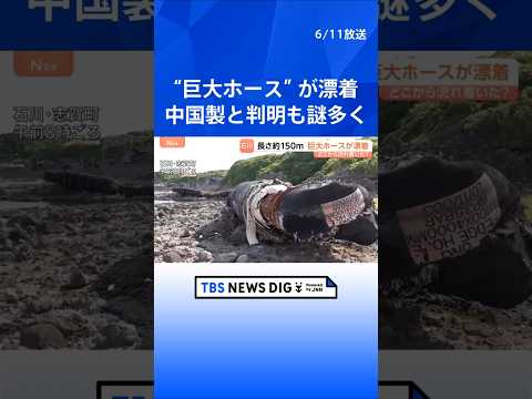 一体どこから？海岸に約150mの“巨大ホース”が漂着　重さ約300トンと推定　中国製と判明も所有者などは分からず…｜T… サムネイル