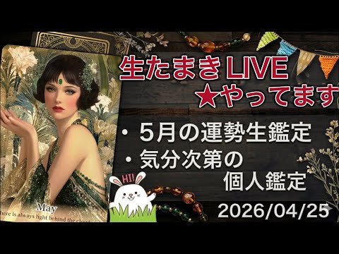 生たまきLI VE⭐️5月の運勢生鑑定【タロットストーリーテリング】 サムネイル