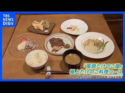 タケノコ豊作でお得に！キャンプ場は無料で掘り放題&nbsp;絶品！タケノコ料理｜TBS&nbsp;NEWS&nbsp;DIG
