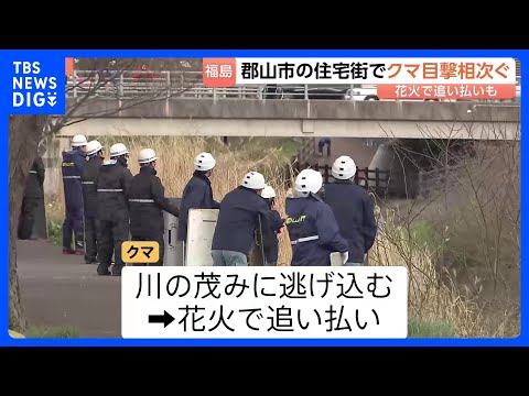 「イヌかと思ったら…」住宅街にクマ出没 花火使って追い払い　福島・郡山市で目撃相次ぐ｜TBS NEWS DIG サムネイル