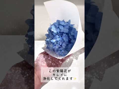 【紫陽花のおまじない】 サムネイル
