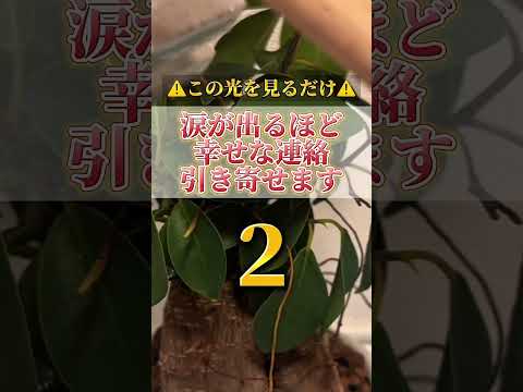何度も見ると願いが叶いやすくなります。感謝の心も忘れずに願望をコメントをして下さいね。開運  運気  運気上昇 運気ア…