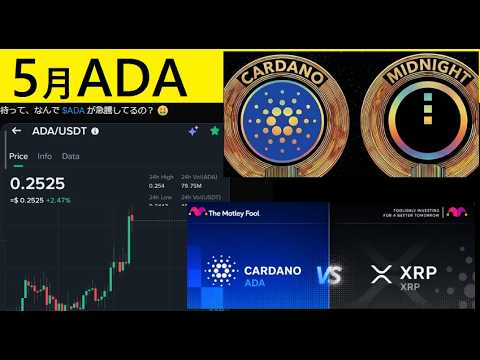 【中堅投資家】5月1日カルダノADAはどうなった？ サムネイル