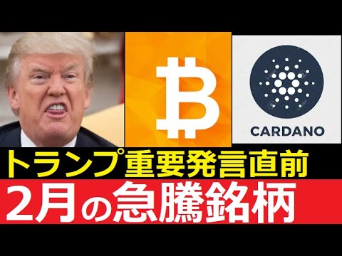 【中堅投資家】翻訳要約「2月の反転急騰銘柄」XRP・ADA・BTC サムネイル