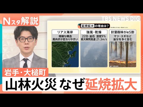 迫る炎の脅威…岩手・山林火災「数年に1回の規模」に　なぜ延焼拡大？“負のスパイラル”断ち切るには【Nスタ解説】｜TBS… サムネイル