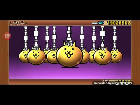 【最初音量注意】新アサシンをゲット出来るか！？Fateコラボ！！にゃんこ大戦争ガチャシリーズ