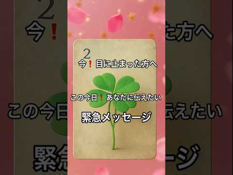 【まさに今❗️目に止まった方へ】 占い タロットルノルマン美音 fortune オラクルカード 恋愛 tarot サムネイル