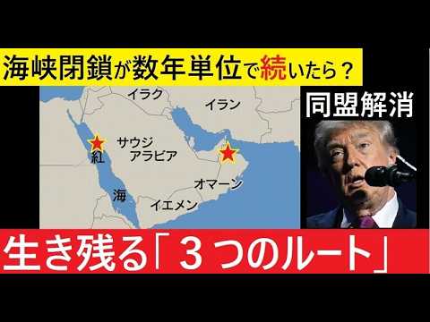【中堅投資家】数年単位でホルムズ海峡の閉鎖が続いたら日本はどうなる？ サムネイル