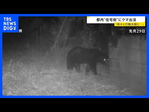 東京住宅街に“体長1m以上”のクマ出没「段々と行動大胆に…」生活圏に徐々に近づく“アーバンベア”対策グッズの最前線は？…