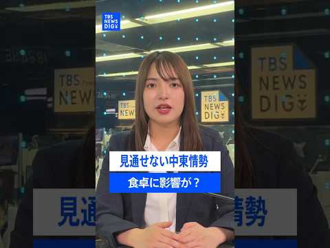 中東情勢の影響は食卓にも…石油だけではない！食料油にも値上げの波【記者が語るニュースのいま】｜TBS NEWS DIG… サムネイル