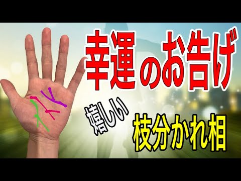 枝分かれの手相がある人はラッキーの連続かもしれません　手相 手相占い 手相鑑定 占い サムネイル