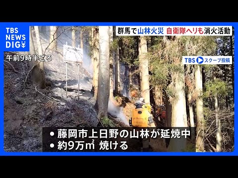 群馬・藤岡市で山林火災 延焼中、自衛隊に災害派遣要請｜TBS NEWS DIG サムネイル