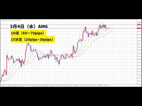 【中堅投資家】FX：講義：時間軸ロットpips サムネイル