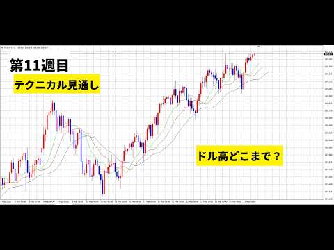 【中堅投資家】FX：第11週目テクニカルまとめ「160円ロスカット食らうまでBUY」 サムネイル