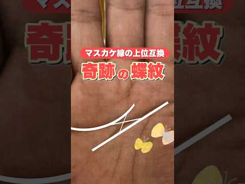 【奇跡の手相】マスカケ線に現れる蝶紋 手相  手相占い  占い  女性  50代  60代 サムネイル