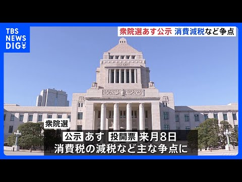 衆議院選挙あす公示　午後に党首討論へ 消費減税などめぐり論戦　来月8日投開票｜TBS NEWS DIG