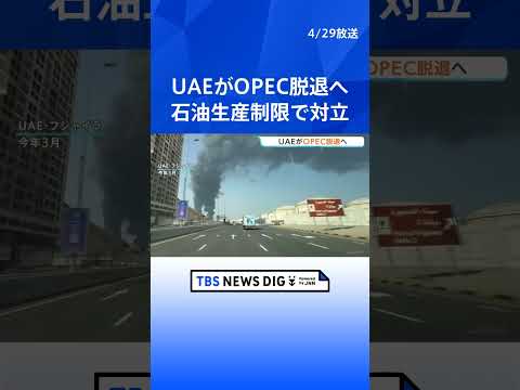 UAE（アラブ首長国連邦）がOPEC（石油輸出国機構）を脱退へ 「長期的にはOPECの構造的弱体化が予想される」専門家… サムネイル