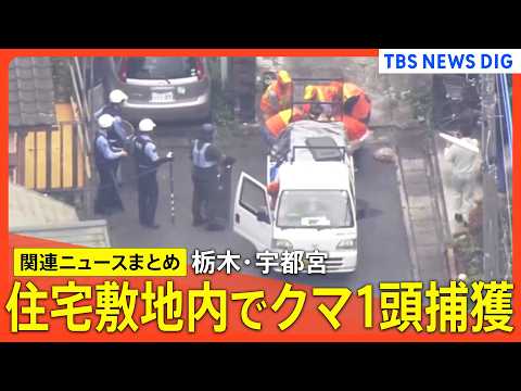 【栃木・宇都宮にクマ】住宅敷地内でクマ1頭捕獲 麻酔銃3発発射／「2頭が市街地に出没の可能性」目撃情報“60件以上”… サムネイル
