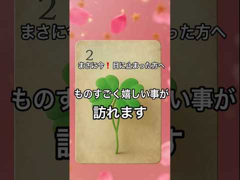 【まさに今❗️目に止まった方へ】 占い タロットルノルマン美音タロット美音 オラクルカード サムネイル