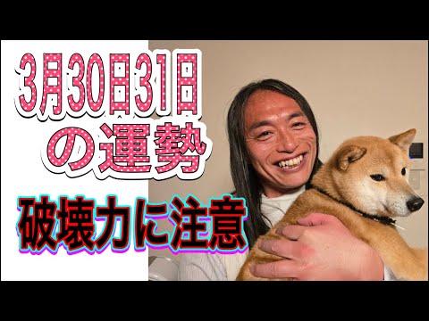 3月30日31日の運勢 12星座別 【破壊力に注意】【免疫力を高めて】 サムネイル