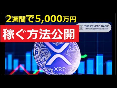 【中堅投資家】XRPで稼げるスーパーサイクル到来！あと10日未満 サムネイル