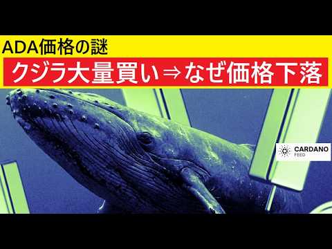 【中堅投資家】ADA下落の謎「クジラ大口投資家は買っているはず」（翻訳要約） サムネイル