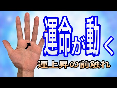 最高の瞬間を見逃さないために人生に影響を与えてくれる時を知っておく方法をお伝えします。 サムネイル