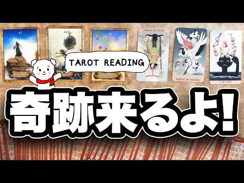 これから、あなたが掴む奇跡を徹底的に占います🎴【タロット占い】見た時がタイミング サムネイル