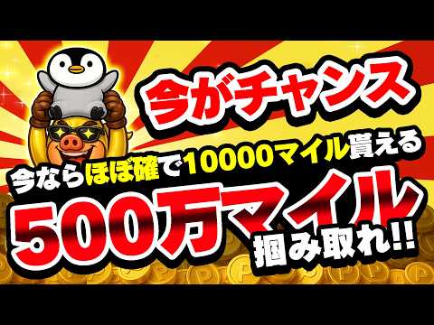 【GWはトリマがアツい！】●●投稿で500万マイル＆報酬50％増量キャンペーンでポイントがザクザク貯まる！！【お得ポイ… サムネイル