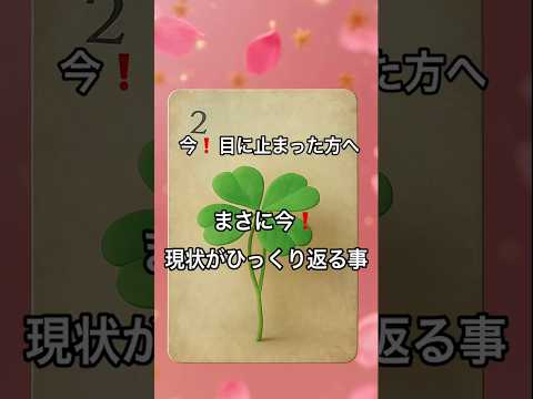 【まさに今❗️目に止まった方へ】 占い タロットルノルマン美音 オラクルカード 恋愛 fortune tarot サムネイル