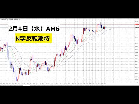 【中堅投資家】FX：今日もN字反転期待 サムネイル