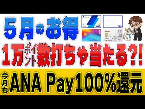 【5月最新】ANA Pay100%還元＆1万pt当選ラッシュ？！GW必見のキャンペーンまとめ サムネイル