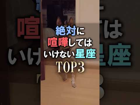 よく当たる🔮絶対に喧嘩してはいけない星座占いランキング shorts 占い 恋愛 星座占い サムネイル