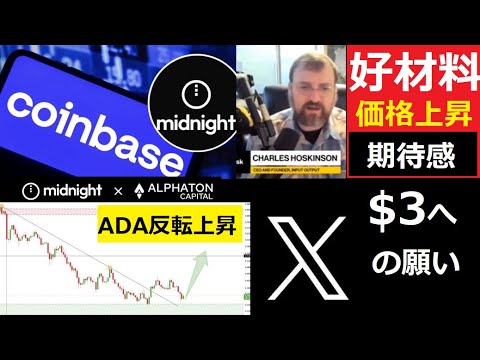 【中堅投資家】カルダノ「ADA/midnight」価格上昇見込み