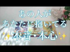 ポイ活動画 | どんどん本音が出てくるお相手がいましたあの人のあなたへの気持ち✨本音・本心✨【YouTubeおすすめ】
