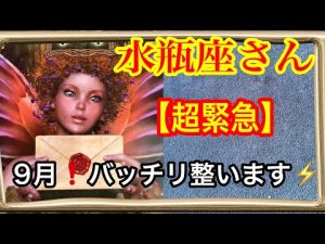 2023年9月の水瓶座：整理整頓がもたらす運気アップのポイント – クーポンたぬき