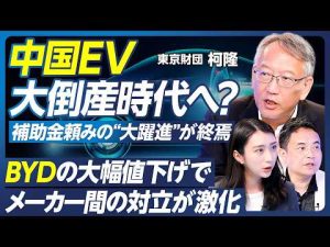 中国経済と電気自動車産業の動向：リスクと展望2025 – クーポンたぬき